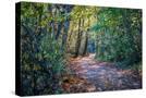 Stretched Canvas