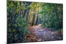 Wood Mount