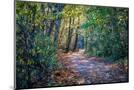 Wood Mount