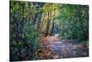 Stretched Canvas