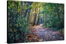 Stretched Canvas
