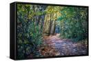 Canvas Black