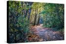 Stretched Canvas