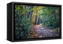 Canvas Black