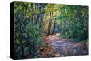 Stretched Canvas