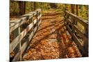Wood Mount