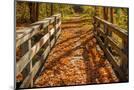 Wood Mount