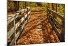 Wood Mount