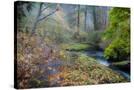 Stretched Canvas