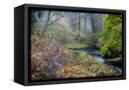 Canvas Black