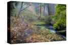Stretched Canvas