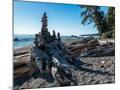 Wood Mount