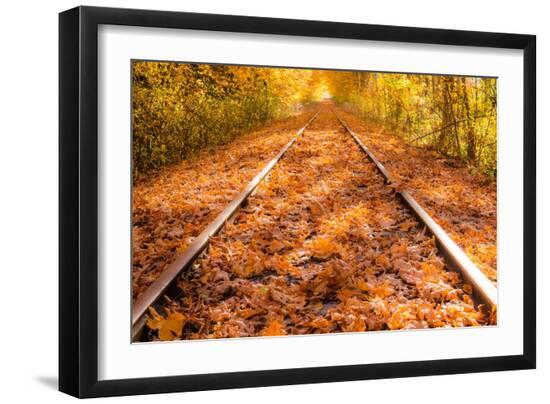 Premium Photographic Print, , large