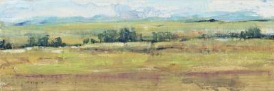 Spring Meadow II-Tim OToole-Art Print