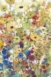 Wildflowers Blooming II-Tim OToole-Art Print