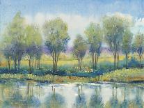 Spring Meadow II-Tim OToole-Art Print