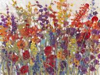 Spring Meadow II-Tim OToole-Art Print