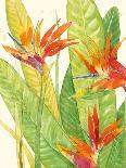 Watercolor Tropical Flowers III-Tim OToole-Art Print