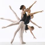 Four Ballerinas-Tim Pannell-Photographic Print