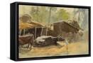 Canvas Black