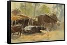 Canvas Black