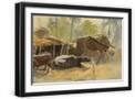Black Frame