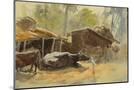 Wood Mount
