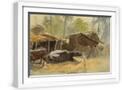 White Frame