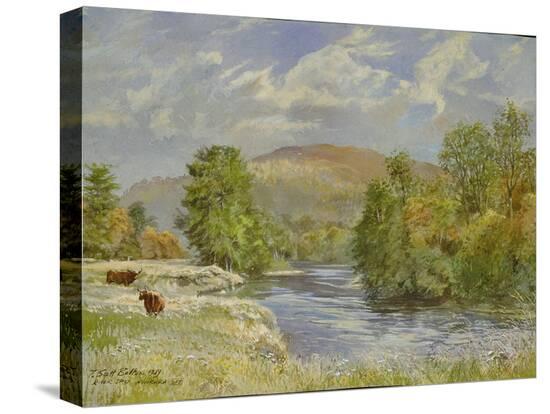 Stretched Canvas Print, , large