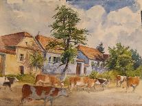 Mesendorf, Transylvania, 2001-Tim Scott Bolton-Stretched Canvas