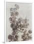 Gramercy White