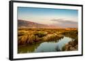 Chelsea Black