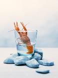 Freshwater Crayfish in a Glass of Water-Tim Thiel-Framed Stretched Canvas