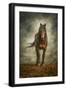 Black Frame
