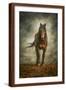 Brown Frame