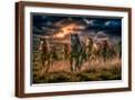 Brown Frame