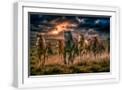 White Frame