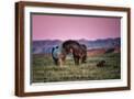 Brown Frame