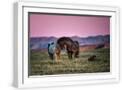 White Frame