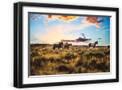 Black Frame