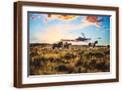 Brown Frame