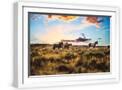White Frame