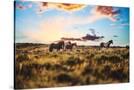 Stretched Canvas