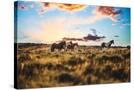 Stretched Canvas