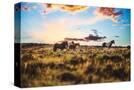 Stretched Canvas