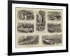Timber Clearing in the Thames District, New Zealand-null-Framed Giclee Print