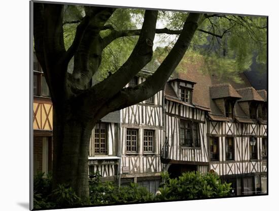 Timber-Framed Houses in the Restored City Centre, Rouen, Haute Normandie (Normandy), France-Pearl Bucknall-Mounted Photographic Print