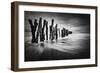 Timber Graffiti-null-Framed Giclee Print