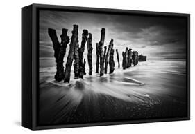 Timber Graffiti-Sobul-Framed Stretched Canvas