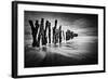 Timber Graffiti-Sobul-Framed Photographic Print